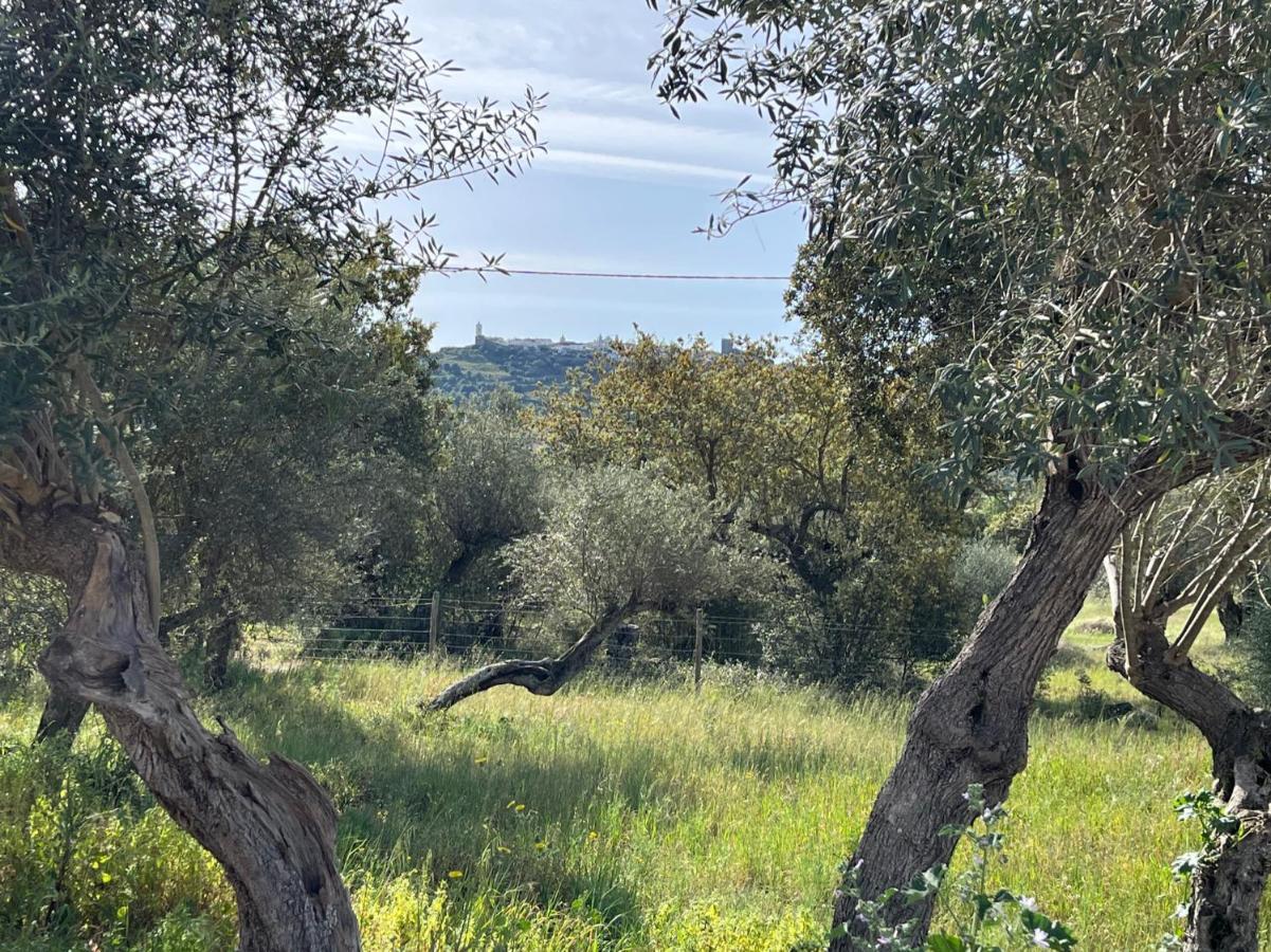 הוילה מונסראז Monte De Santa Maria מראה חיצוני תמונה
